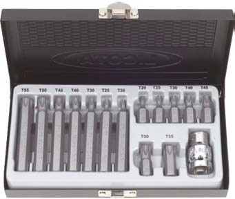Набор бит Торкс Т20-Т55, 15 пр. Licota в интернет-магазине avtofirma63.ru 
