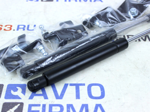 Газовые упоры крышки багажника на Лада Гранта, Датсун в интернет-магазине avtofirma63.ru 