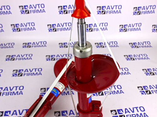 Передние стойки Лада Ларгус DEMFI Премиум в интернет-магазине avtofirma63.ru 