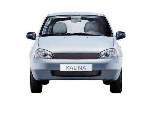 Сетка «спорт-тюнинг» 64 x 21 см, пластик AZARD в интернет-магазине avtofirma63.ru 