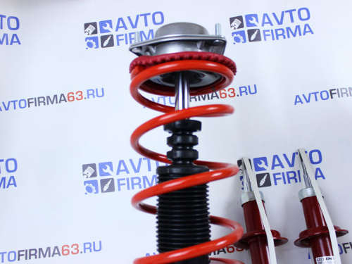 Комплект подвески в сборе ВАЗ 2108-21099, ВАЗ 2113-2115 -30мм Demfi Premium газомасляная в интернет-магазине avtofirma63.ru 