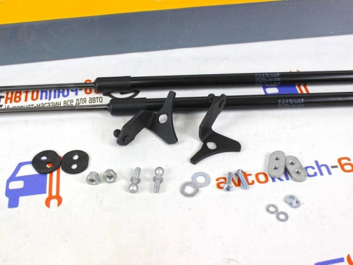 Упоры капота на Лада Гранта FL в интернет-магазине avtofirma63.ru 