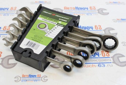 Набор ключей комбинированных трещоточных 6 шт Дело Техники в интернет-магазине avtofirma63.ru 