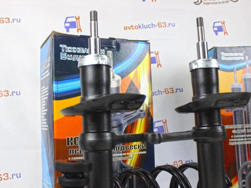 Комплект стоек в сборе на Лада Гранта, Гранта FL с саморегулирующимся клапаном, Технологии Будущего в интернет-магазине avtofirma63.ru 