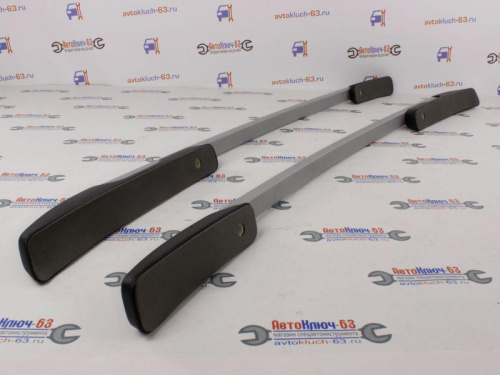 Рейлинги LADA XRAY серебристый муар в интернет-магазине avtofirma63.ru 