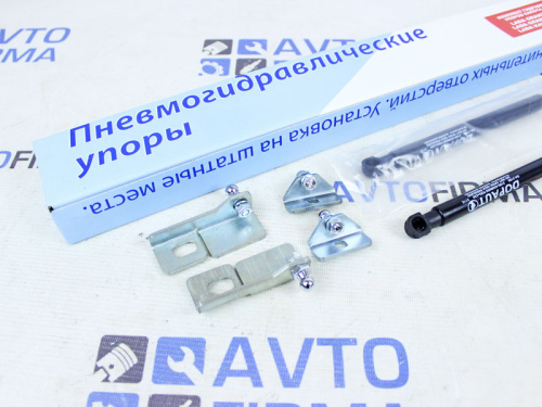 Пневмогидравлические упоры капота для а/м 2190-94 Датсун в интернет-магазине avtofirma63.ru 