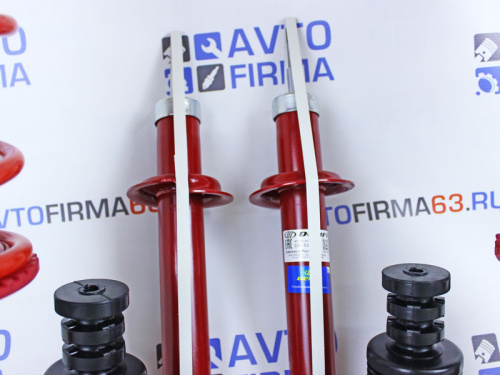 Комплект подвески в сборе ВАЗ 2108-21099, ВАЗ 2113-2115 -30мм Demfi Premium газомасляная в интернет-магазине avtofirma63.ru 