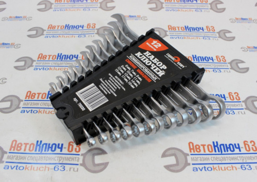 Набор комбинированных ключей 12 предметов холодный штамп PROFFI в интернет-магазине avtofirma63.ru 