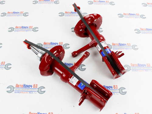 Передние стойки ВАЗ 2110, 2111, 2112 DEMFI Премиум газомасляные в интернет-магазине avtofirma63.ru 
