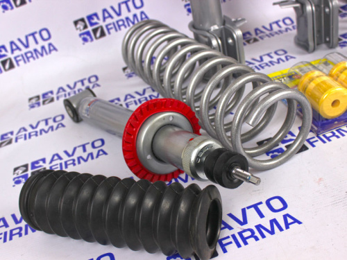 Комплект подвески в сборе ВАЗ 2110, 2111, 2112 SS20 Стандарт в интернет-магазине avtofirma63.ru 