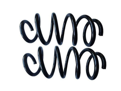 Пружины задней подвески Кинешма на Лада Ларгус в интернет-магазине avtofirma63.ru 