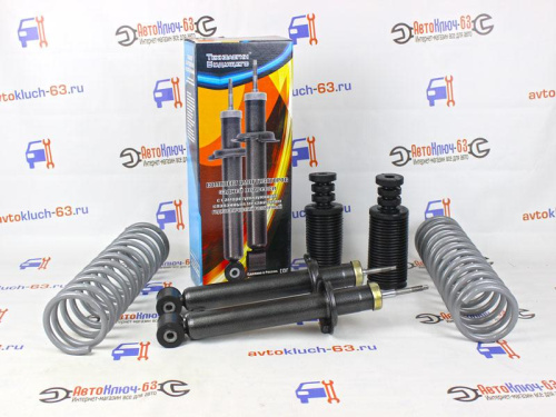 Задние амортизаторы в сборе Лада Приора Технологии Будущего с саморегулирующимся клапаном в интернет-магазине avtofirma63.ru 