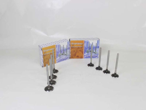  Комплект клапанов для а/м R-90, Логан, 8 кл, АвтоМир в интернет-магазине avtofirma63.ru 