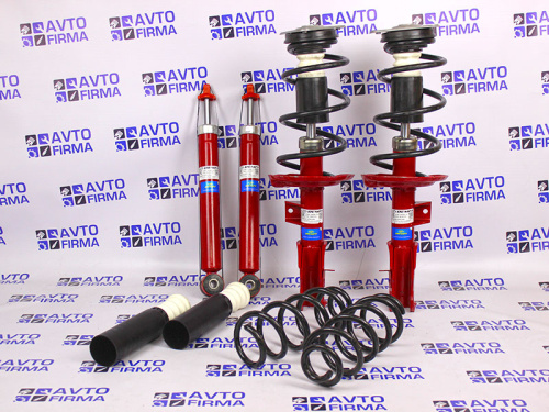 Комплект передних и задних стоек в сборе Лада Веста Demfi Premium в интернет-магазине avtofirma63.ru 