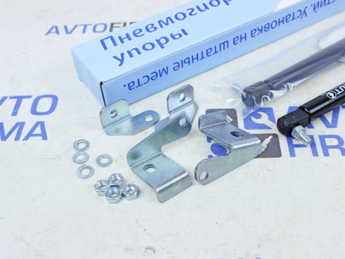 Пневмогидравлические упоры капота для а/м 2180-2181 в интернет-магазине avtofirma63.ru 