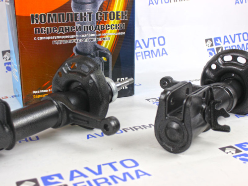 Передние стойки саморегулирующиеся на Лада Калина, Калина 2 Технологии Будущего в интернет-магазине avtofirma63.ru 