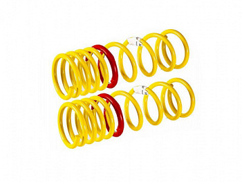 Пружины задней подвески с занижением -40 мм Fobos на ВАЗ 2110 в интернет-магазине avtofirma63.ru 