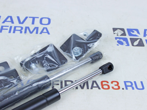 Газовые упоры крышки багажника на Лада Гранта, Датсун в интернет-магазине avtofirma63.ru 