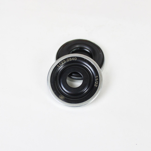 Комплект передних опор стоек с подшипниками для автомобилей Largus, XRAY 2 шт Сэви Эксперт в интернет-магазине avtofirma63.ru 