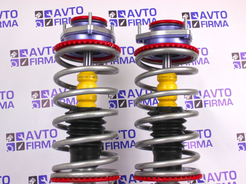 Передние стойки в сборе ВАЗ 2110 2111 2112 SS20 стандарт в интернет-магазине avtofirma63.ru 