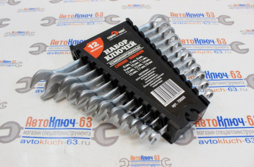 Набор комбинированных ключей 12 предметов холодный штамп PROFFI в интернет-магазине avtofirma63.ru 