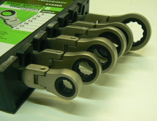 Набор ключей комбинированных трещоточных  шарнирных 6 шт. Дело Техники в интернет-магазине avtofirma63.ru 