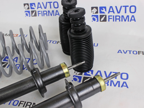 Задние амортизаторы в сборе ВАЗ 2108-21099, ВАЗ 2113-2115 Технологии Будущего с саморегулирующимся клапаном в интернет-магазине avtofirma63.ru 