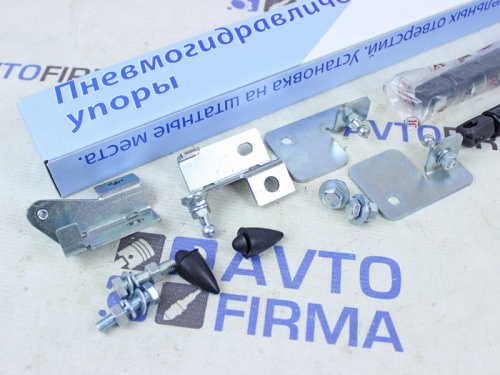Пневмогидравлические упоры багажника Лада Гранта, Гранта ФЛ, Датсун он-ДО в интернет-магазине avtofirma63.ru 