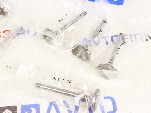 Комплект клапанов для а/м 21083, Herzog в интернет-магазине avtofirma63.ru 