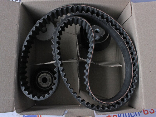 Комплект привода распредвала Renault в интернет-магазине avtofirma63.ru 