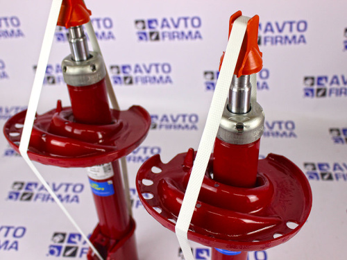 Стойки передней подвески газомасляные Demfi Премиум на Лада Икс Рей в интернет-магазине avtofirma63.ru 