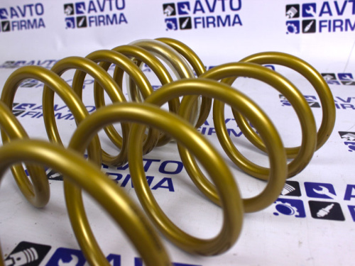 Задние пружины Лада Гранта, Гранта FL SS20 Gold Progressive холодной навивки переменный шаг в интернет-магазине avtofirma63.ru 